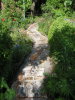 Naturstein im Garten: Pflasterarbeiten